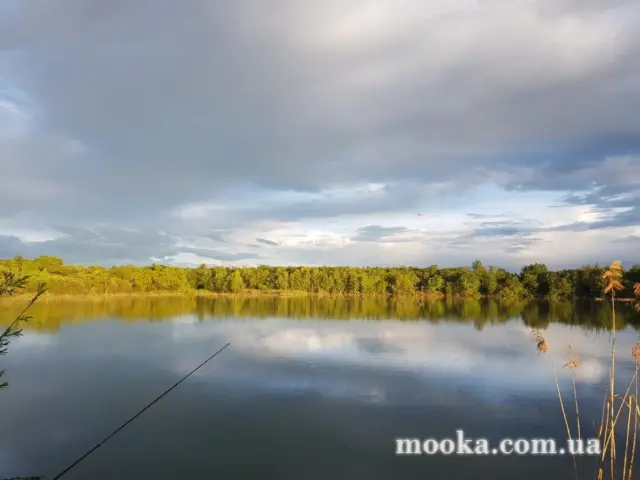 Світ навколо нас (наші фотографії)