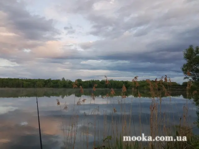 Світ навколо нас (наші фотографії)