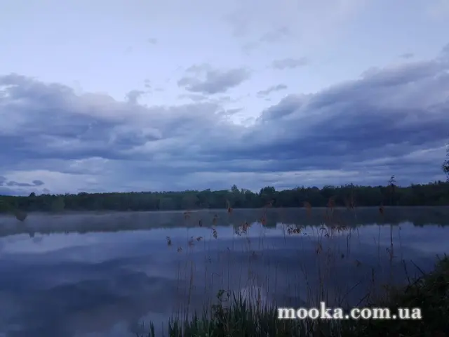 Світ навколо нас (наші фотографії)
