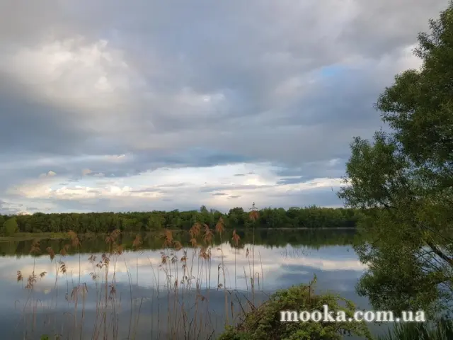Світ навколо нас (наші фотографії)