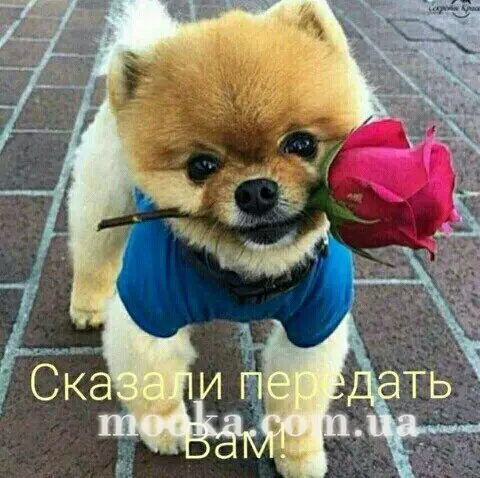 З Днем народження!