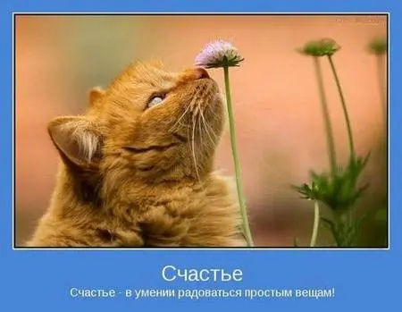 Милі позитивники