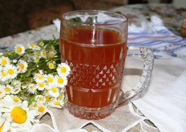 Квас на закваске