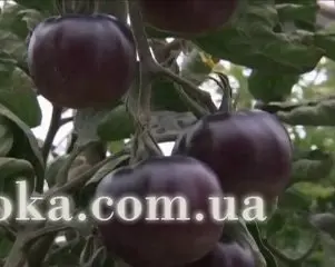 Чи знаєте ви, що... чи це цікаво знати