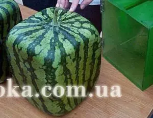 Чи знаєте ви, що... чи це цікаво знати