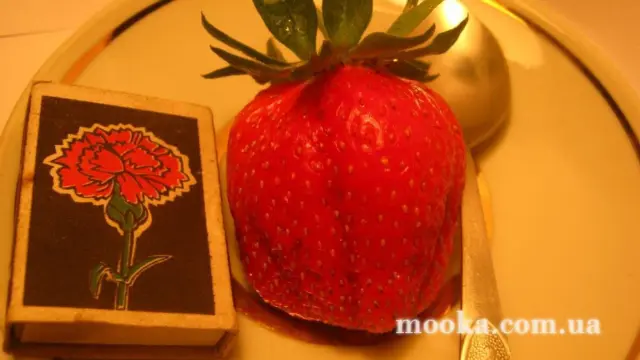 Вот мой сад и огород,  а в горшке цветок цветет!