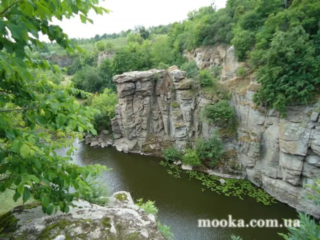 Фотосолянка подорожей