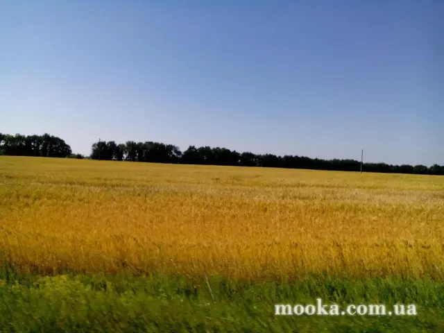Фотосолянка подорожей