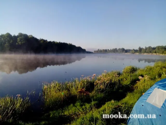 Фотосолянка подорожей