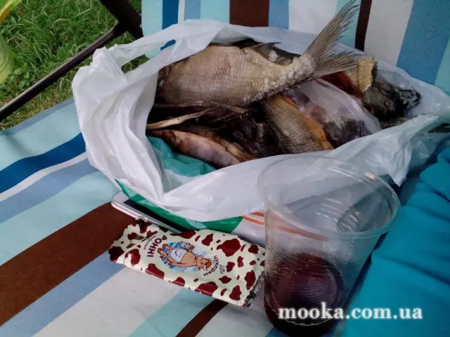 Кухонні посиденьки (балачки)