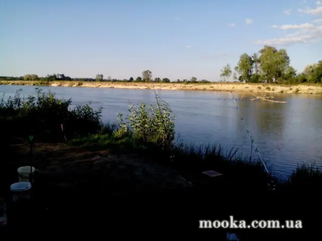 Фотосолянка подорожей