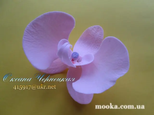 МК Орхидея  фаленопсис  без проволоки