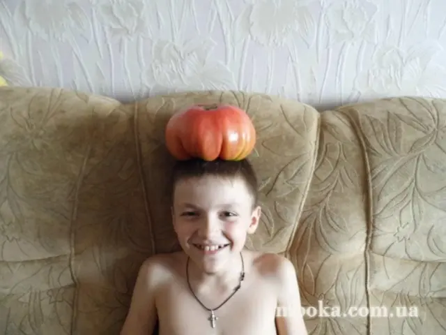 Вот мой сад и огород,  а в горшке цветок цветет!
