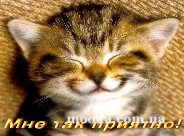 З Днем народження!