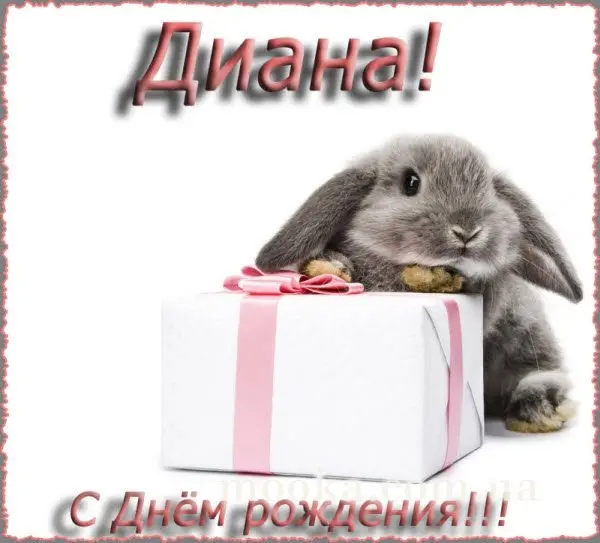 З Днем народження!