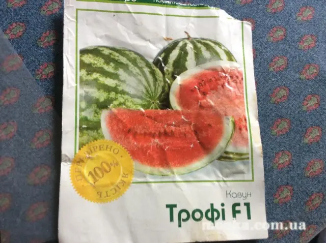 Вот мой сад и огород,  а в горшке цветок цветет!