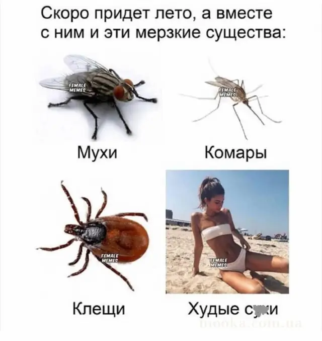 Клуб поціновувачів кіно