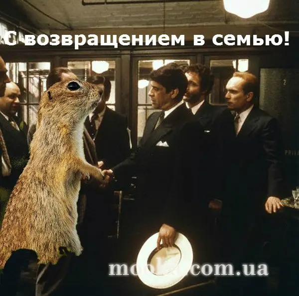 Хлеб Чучелкин (вариация Суслика)