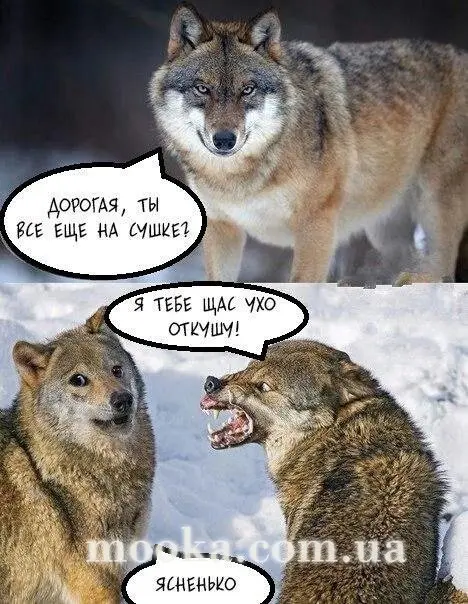 Ми будемо стрункими!