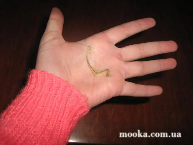 Школа!