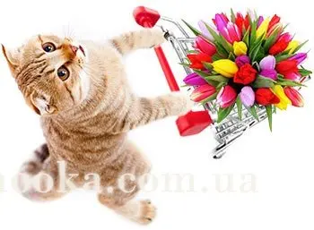 З Днем народження!