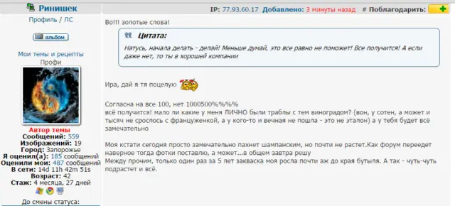 Закваска виноградная  (по рецепту Нэнси Силвертон)