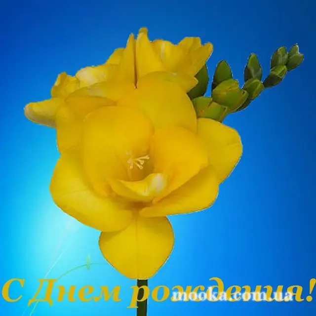 З Днем народження!