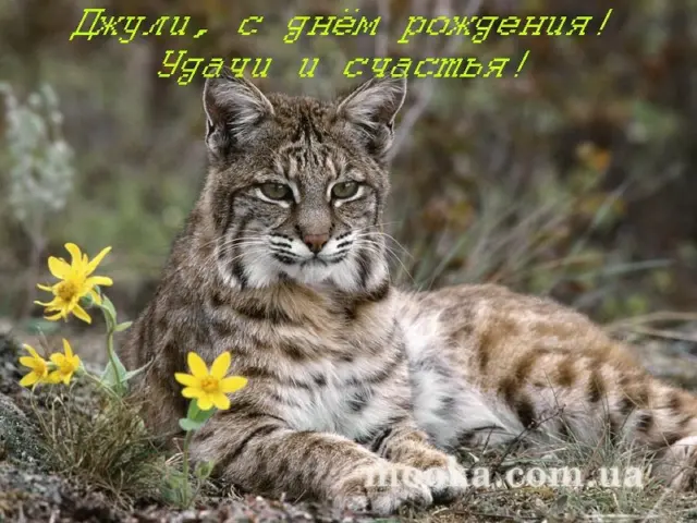 З Днем народження!