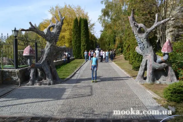 Фотосолянка подорожей