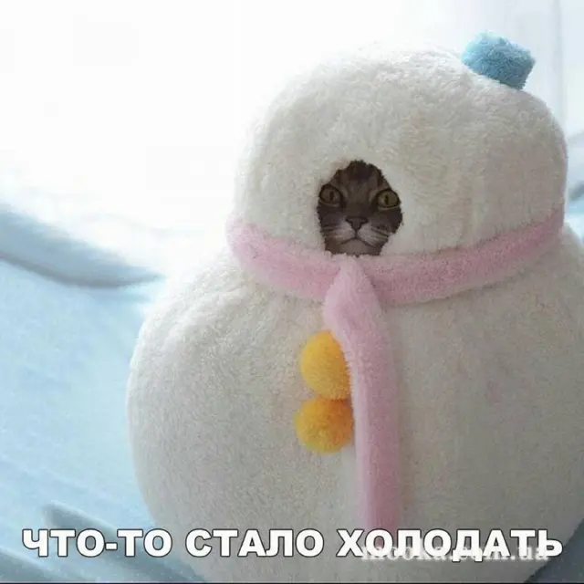 Кухонні посиденьки (балачки)