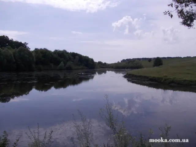 Фотосолянка подорожей