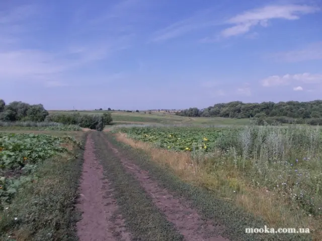 Фотосолянка подорожей