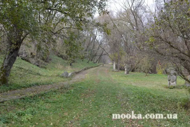 Фотосолянка подорожей