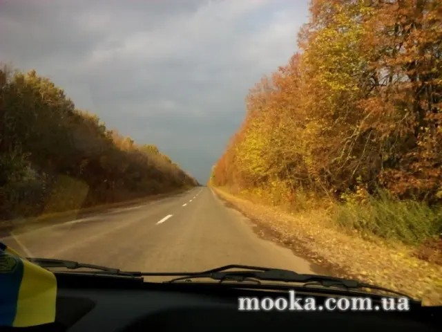 Фотосолянка подорожей