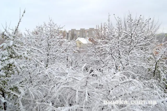 Світ навколо нас (наші фотографії)
