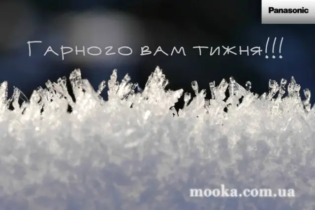 Кухонні посиденьки (балачки)