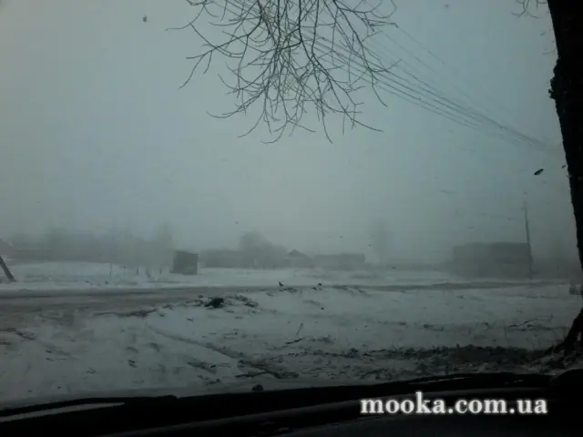 Кухонні посиденьки (балачки)