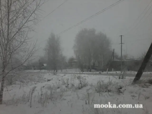 Кухонні посиденьки (балачки)