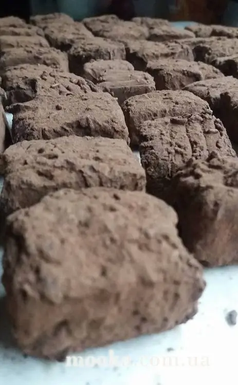 Какао тертый (кусковой). Масло какао