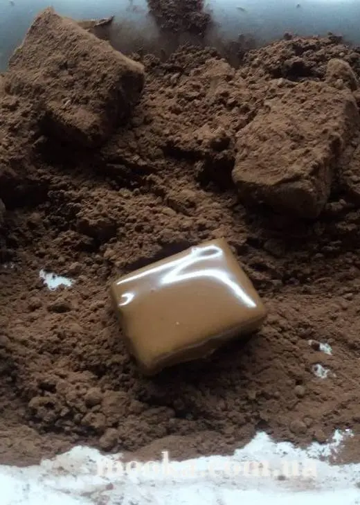 Какао тертый (кусковой). Масло какао