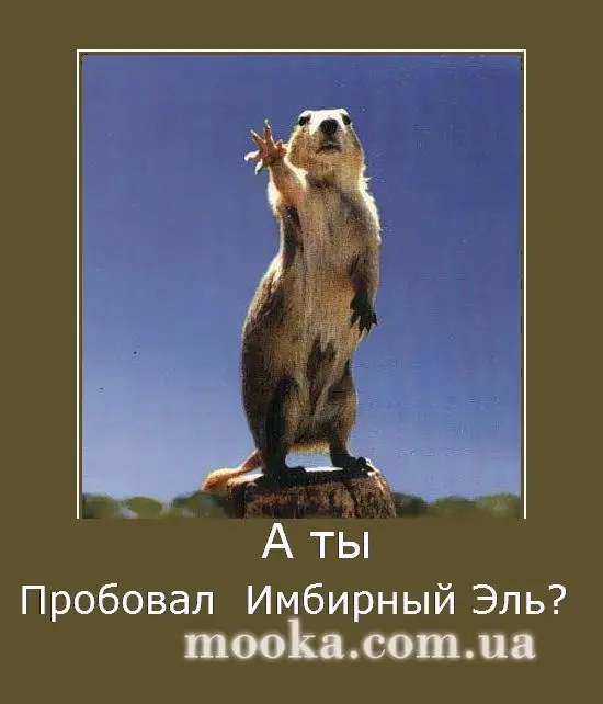 Эль имбирный (практически алкогольный)