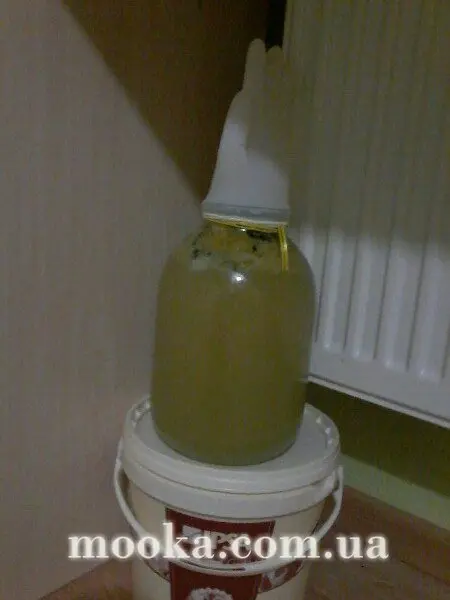 Эль имбирный (практически алкогольный)