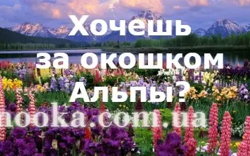 З Днем народження!
