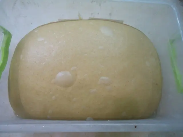 Пандоро  (Pandoro)