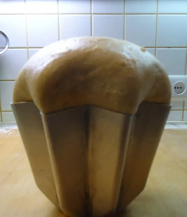 Пандоро  (Pandoro)