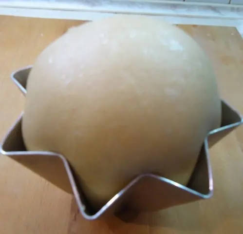 Пандоро  (Pandoro)