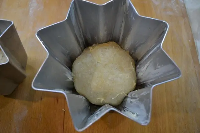 Пандоро  (Pandoro)