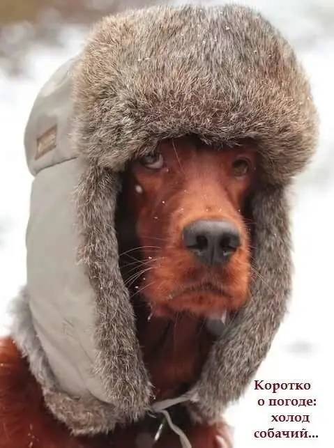 Кухонні посиденьки (балачки)