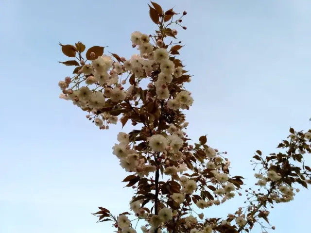 Фотосолянка подорожей