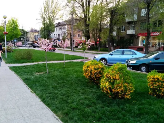 Фотосолянка подорожей